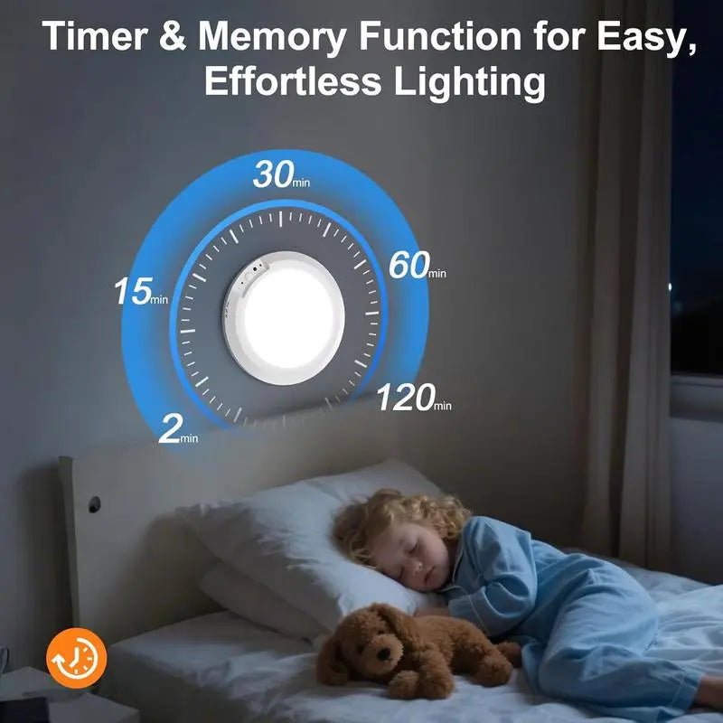 Rechargeable Motion Sensor Ceiling Light
