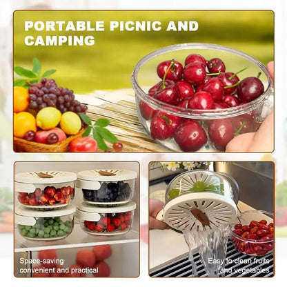 Multifunctional Round Bowl Kitchen Colander with Lid