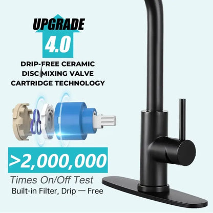 Kitchen Faucet with Pull Down Sprayer