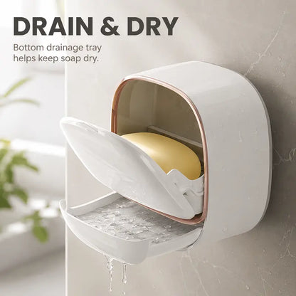 Wall-Mounted Bar Soap Container with Drain System