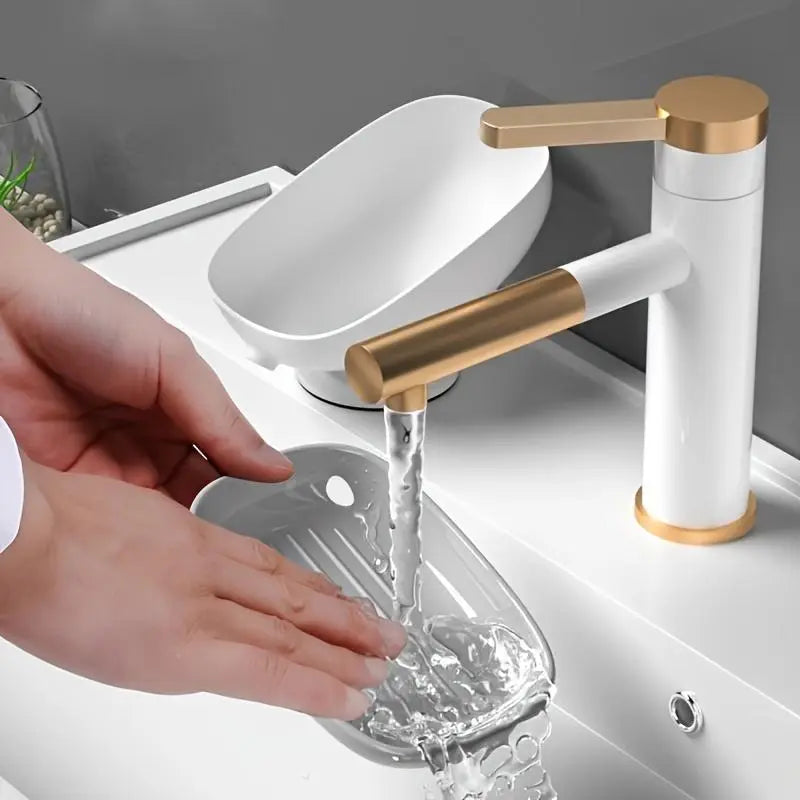 1-Piece Luxurious Adjustable Oval Self Draining Soap Dish with Drainage