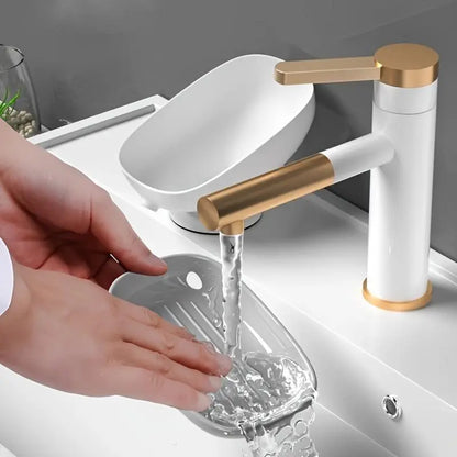 1-Piece Luxurious Adjustable Oval Self Draining Soap Dish with Drainage