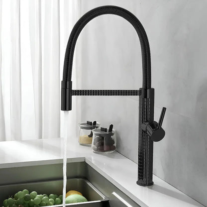 Kitchen Faucet with Pull Down Sprayer