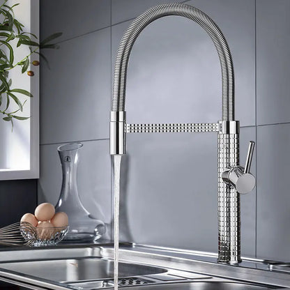 Kitchen Faucet with Pull Down Sprayer