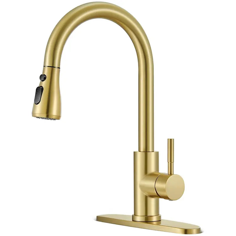Kitchen Faucet with Pull Down Sprayer